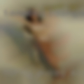Horny pussy Elyria